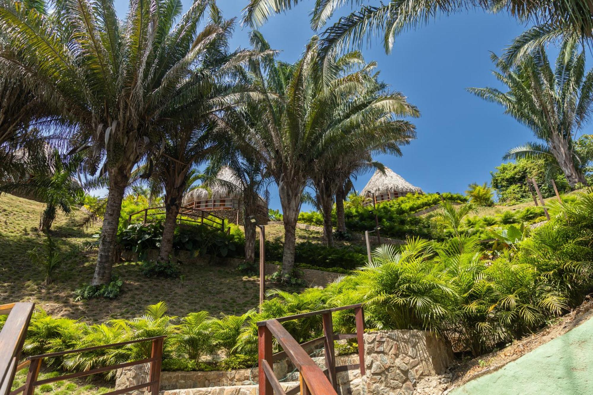 Zirwa Hotel Boutique - Dentro Del Parque Tayrona الزينو المظهر الخارجي الصورة